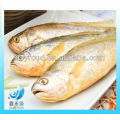 GEFRORENES KLEINES GELBES CROAKER / BABY GELBES CROAKER